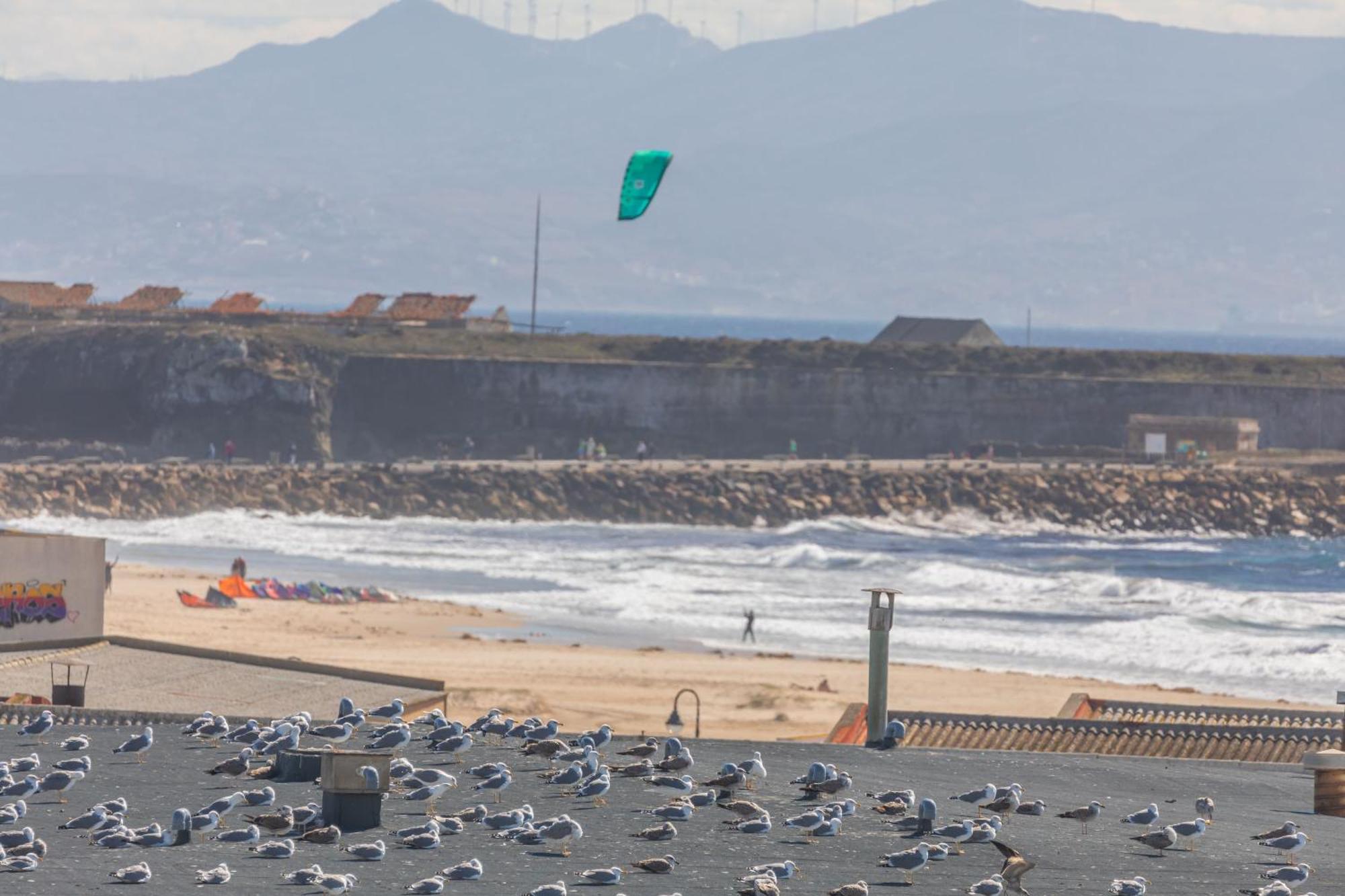 Los Lances Beach Apartments Tarifa Esterno foto